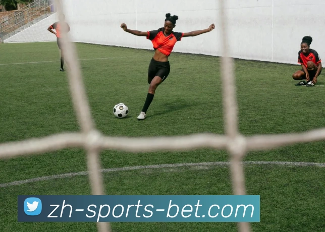 世界杯下注APP 封面图